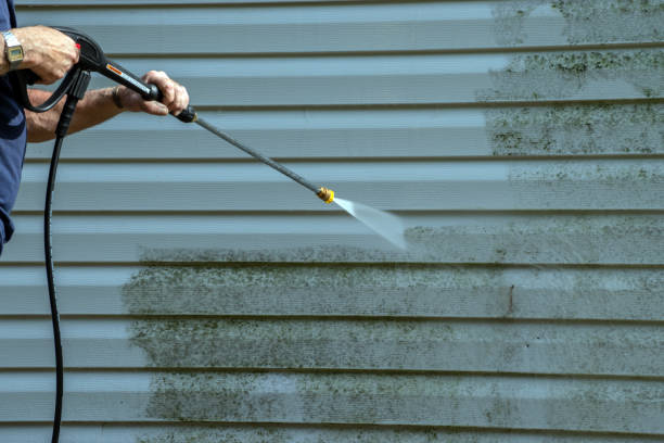 Best Deck Cleaning Services  in El Jebel, CO