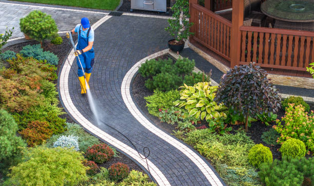 Best Commercial Building Pressure Washing  in El Jebel, CO